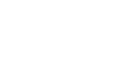 AM Liner Logo