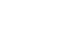 Layne Logo